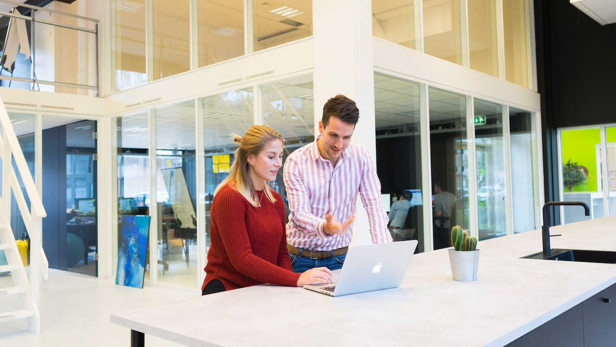 white researchers working on a campaign